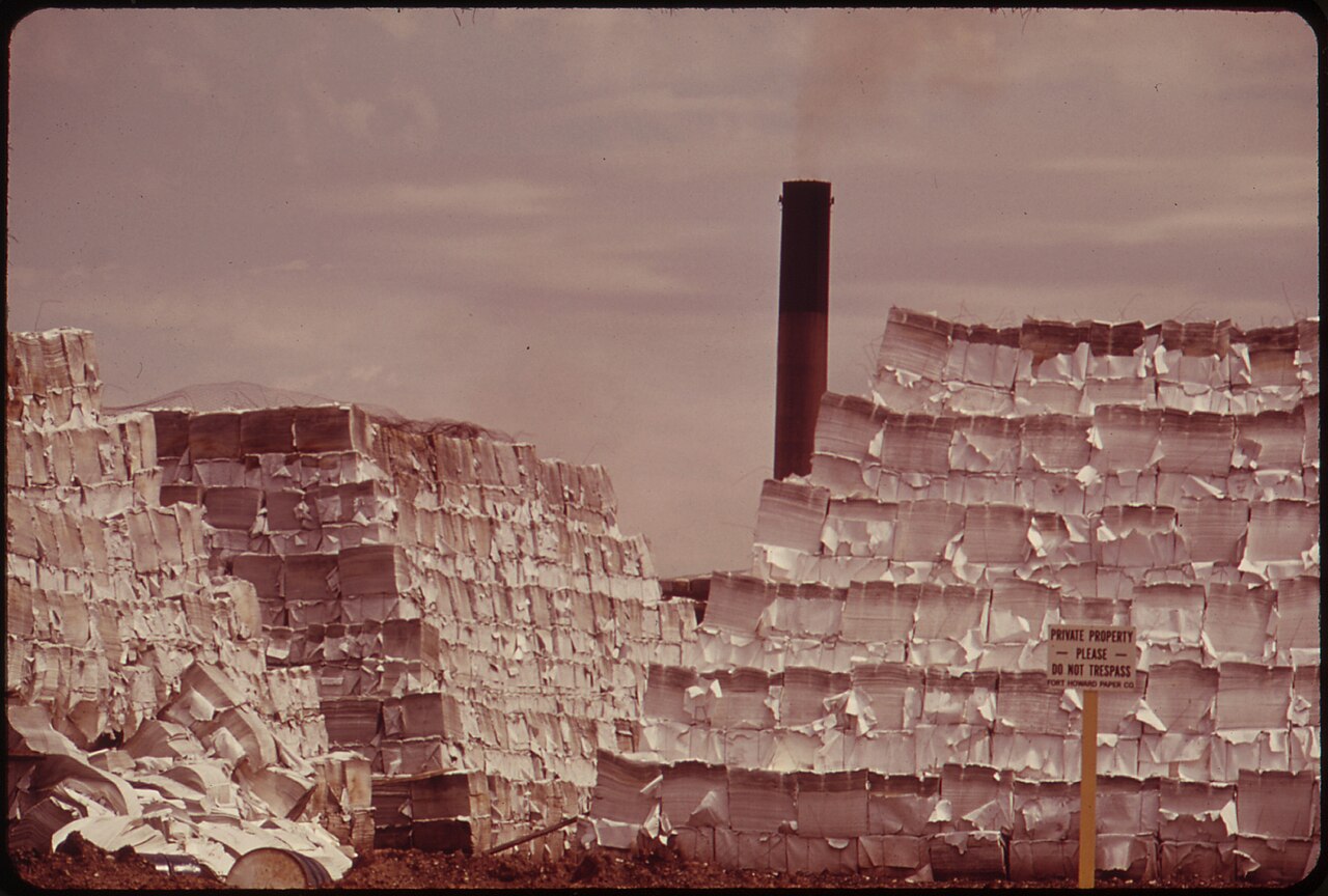 Shredded office paper (61.2 kg)